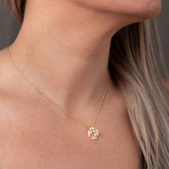 CONJUNTO PRATA DOURADA PROLAS - COLAR&BRINCO COLEO FLOWER