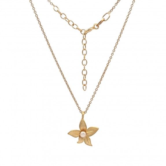 CONJUNTO PRATA DOURADA PROLAS - COLAR&BRINCO COLEO FLOWER
