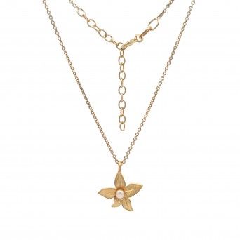 CONJUNTO PRATA DOURADA PROLAS - COLAR&BRINCO COLEO FLOWER