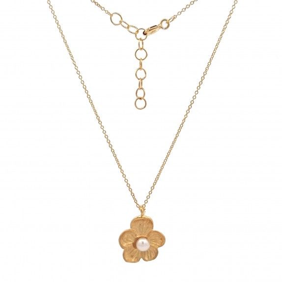 CONJUNTO PRATA DOURADA PROLAS - COLAR&BRINCO COLEO FLOWER