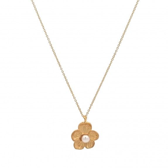 CONJUNTO PRATA DOURADA PROLAS - COLAR&BRINCO COLEO FLOWER