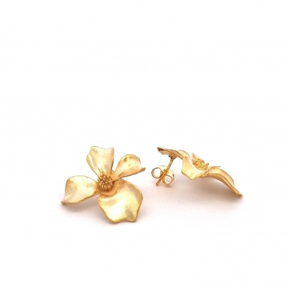 CONJUNTO PRATA DOURADA  - COLAR&BRINCO COLEO FLOWER